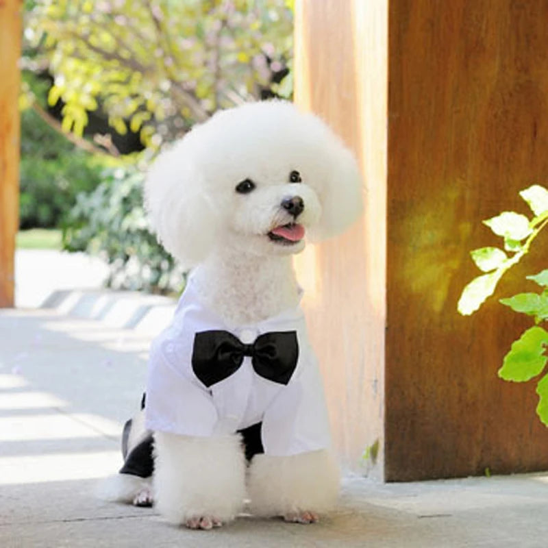 Pet Clothes Puppy Dog Jumpsuit Suit Bow Tie Tuxedo Shirt Stylish Formal Wedding Apparel - S M L XL XXL - White Black 20A