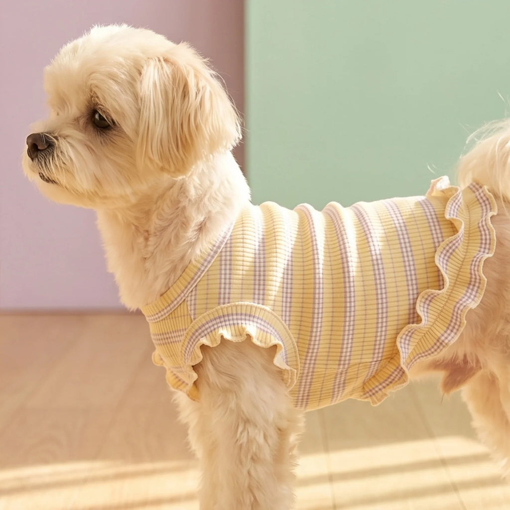Summer Pet Clothes for Small Dogs Cute Ruffled Striped Dog Tank Top Breathable Ribbed Knit Puppy Vest Sweet Frilly Dog Apparel