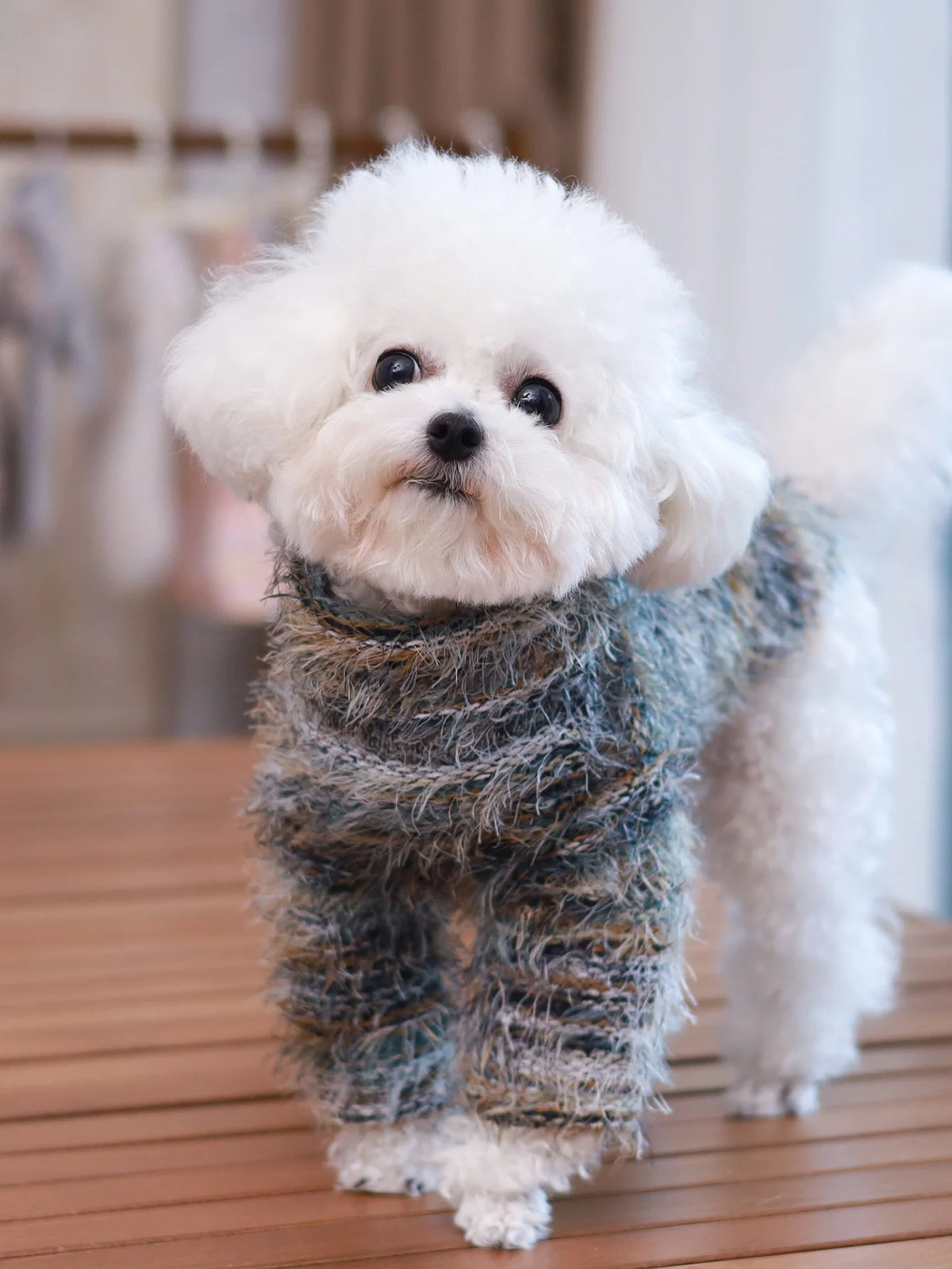 2025 New Style Pet Sweater, Simple & Fashionable, Suitable For Spring & Autumn. Dog Apparel For Yorkshire Terrier, Chihuahua