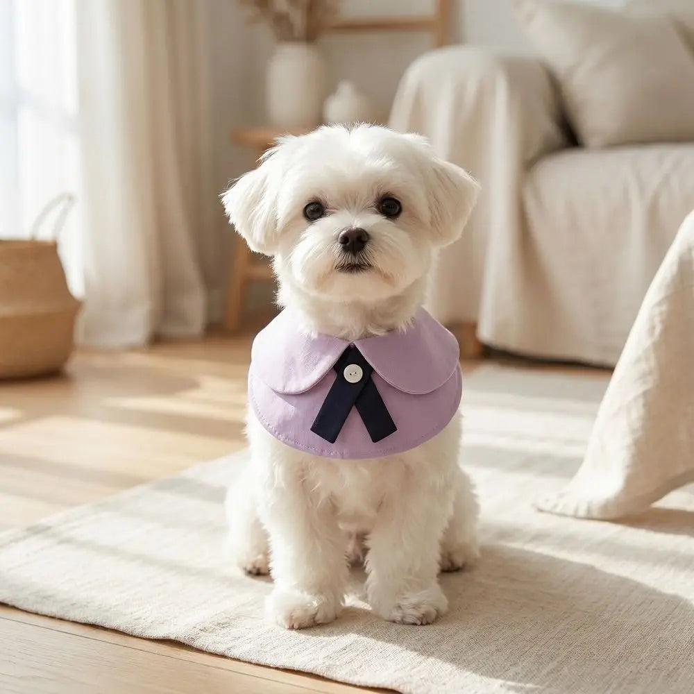 Pet Apparel Cute Pet Drool Bib Washable Breathable Cat Bib Scarfs Decorative Faux Collar Puppy Collar Small Dogs