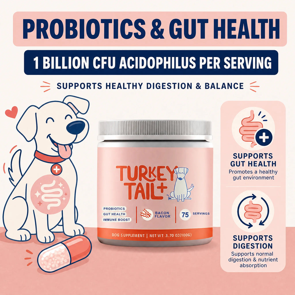 Dog Probiotic Soft Granules with Turkey Tail Mushroom&Vitamin Bacon Flavor Digestive Supplement Gut Health Daily Pet Nutrition