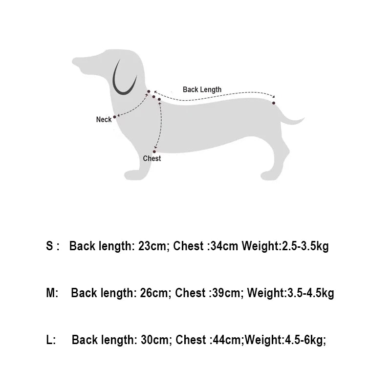 Dog Dresses for Small Dogs Cats Puppy Clothes Summer Princess Pet Dresses Girl Female Doggies Lace Skirt Apparel for Dachshund
