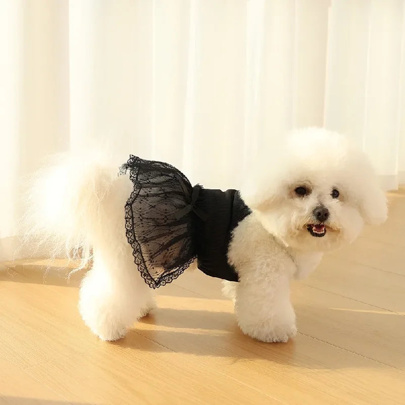 Pet Supplies Lace Pet Princess Dresses Fashion Breathable Dog Vest Soft Thin Design Pet Summer Clothes Autumn