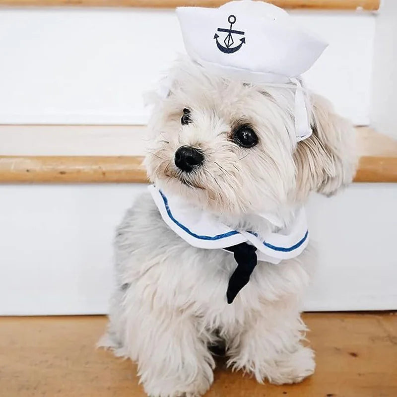 Funny Pet Cat Costumes Small Dog Rabbit Apparel Clothes For Halloween Cosplay Navy Sailor Clothes Jacket Cloak Dog Accessories