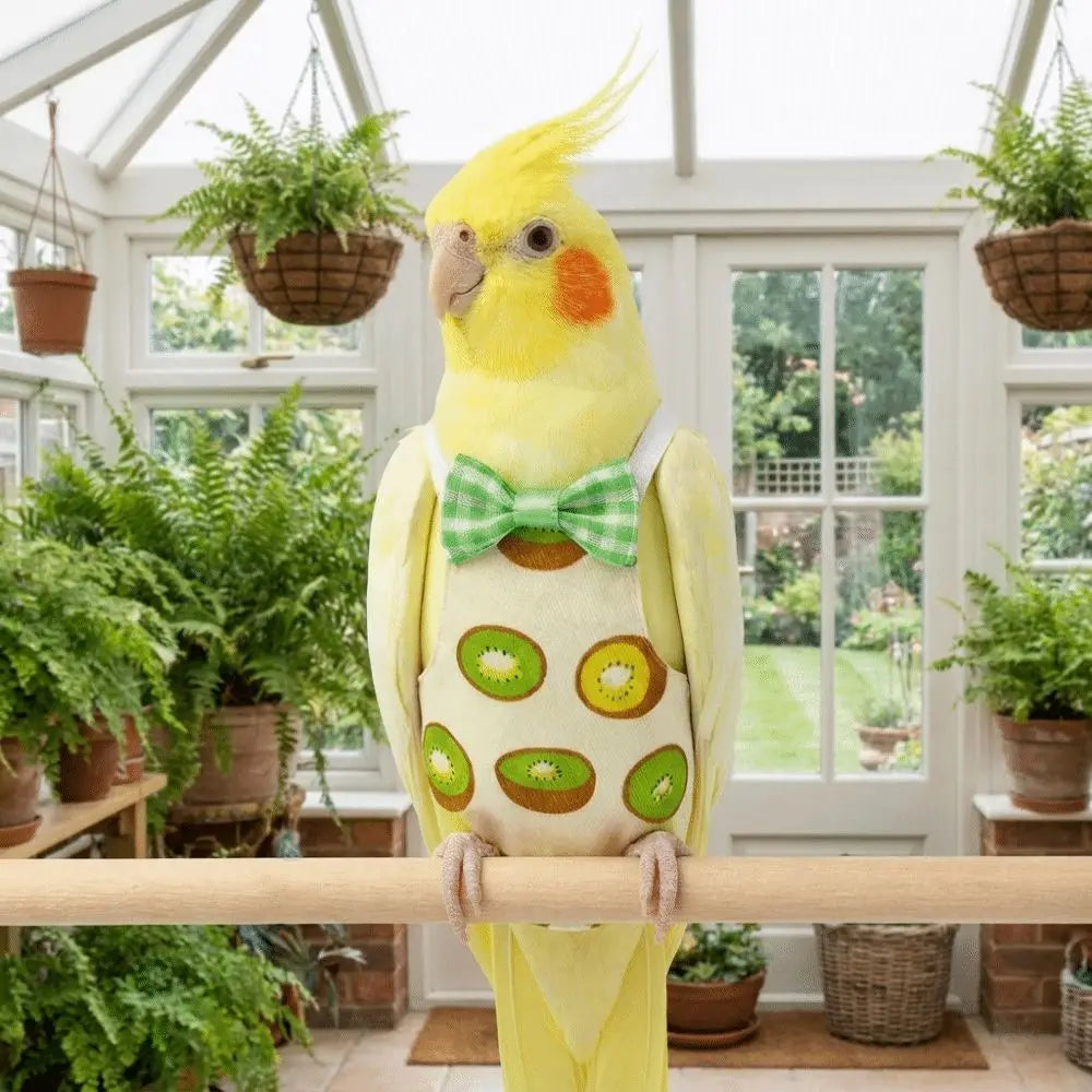 Pet Bird Apron Adjustable Pet Parrot Diaper Breathable Fruit Pattern Bird Nappy with Bowtie Soft Fabric Bird Vest Training