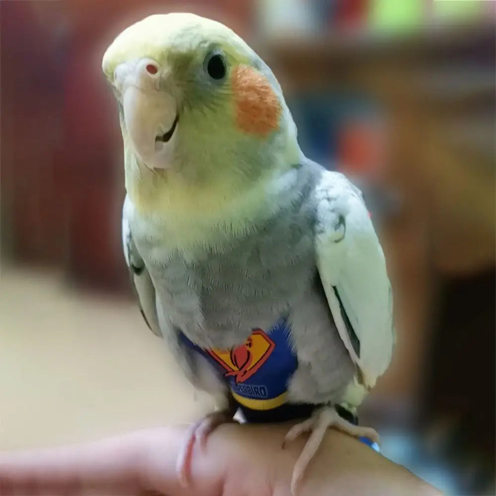 Adjustable For Parakeet Cockatiel Pigeons Pet Accessories Birds Clothes Parrot Diaper Parrot Urine Pants Birds Flight Suit