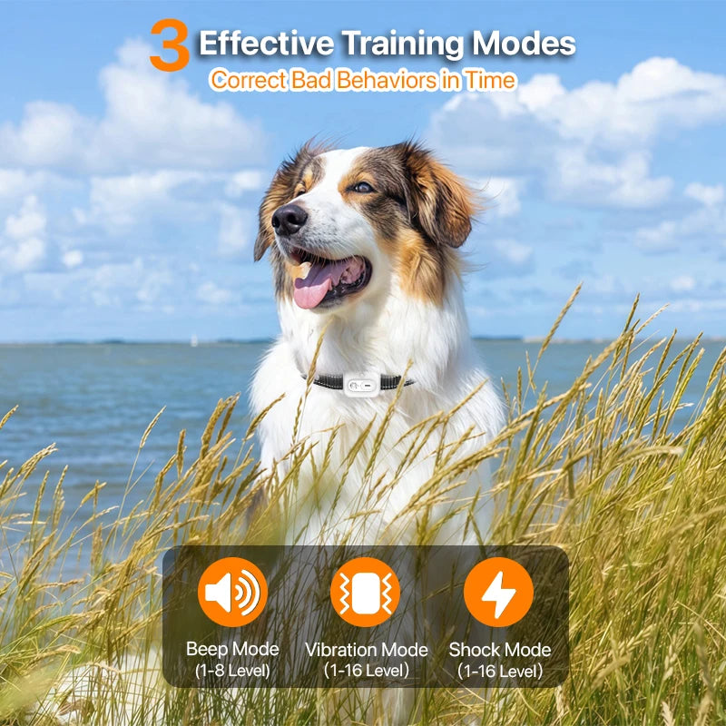 3300Ft Electric Dog Training Collar Remote Control Waterproof Pet BehaviorFor 5-120lbs Puppy With Shock Vibration