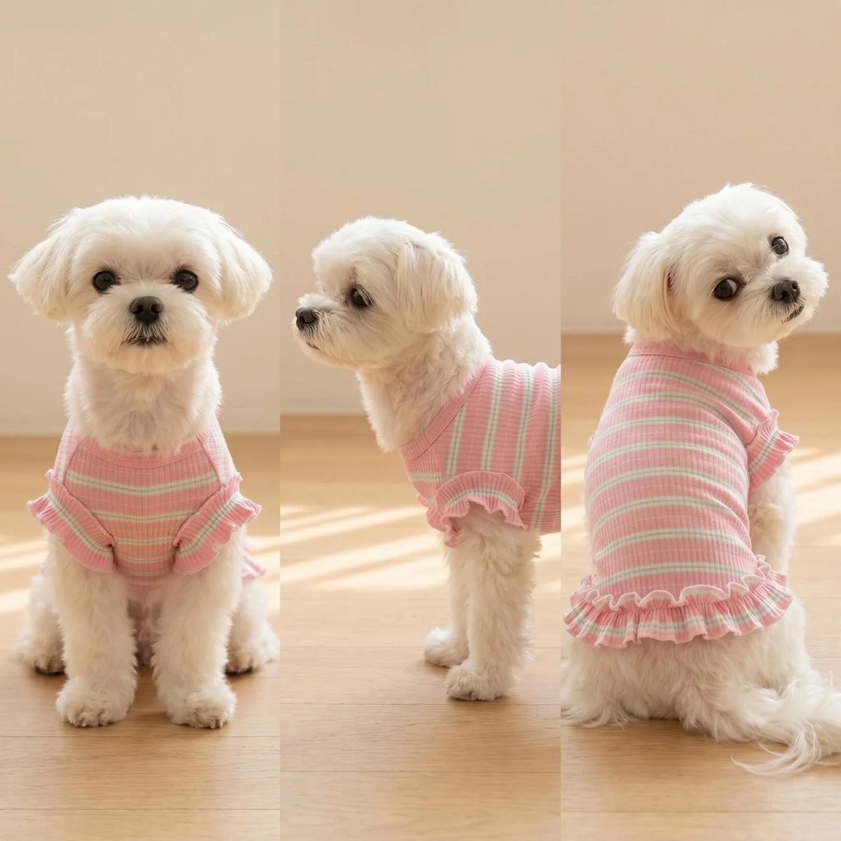 Summer Pet Clothes for Small Dogs Cute Ruffled Striped Dog Tank Top Breathable Ribbed Knit Puppy Vest Sweet Frilly Dog Apparel