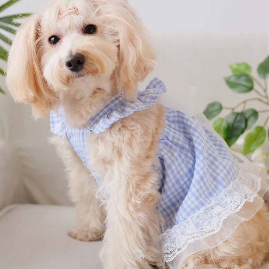 Cat and Dog Universal Pet Apparel - Fairy Bow, Lace Trim, Plaid Ribbon Skirt - Skin-Friendly Comfort, Suitable for All Seasons