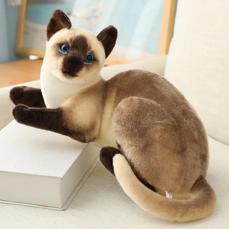 Pet cat toy, realistic cat plush toy, soft and comfortable, a great companion for indoor play