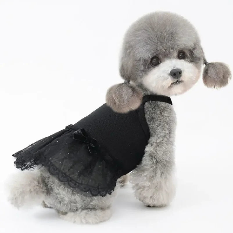 Pet Supplies Lace Pet Princess Dresses Fashion Breathable Dog Vest Soft Thin Design Pet Summer Clothes Autumn