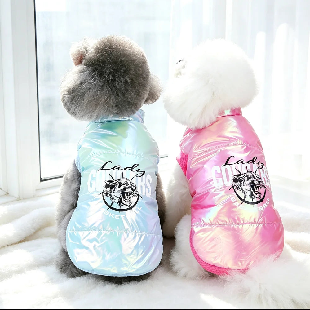 Orange Pet Apparel For Small Medium Large Dogs Funny Autumn Winter Cat Corgi French Bulldog Yorkie Hoodie Clothes XS 6XL Stuff