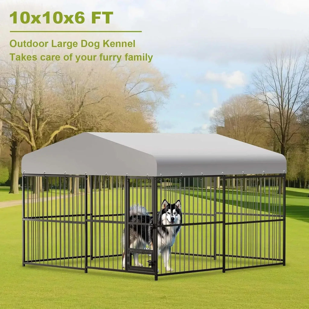 Large Dog Kennel Outside,10x10x6 FT Heavy-Duty Outdoor Cage with Roof and Lock,Covered Outside Kennel,for Medium and Large Dogs,