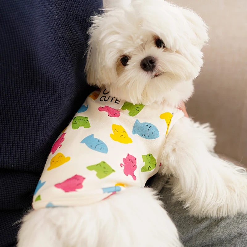 Pets Kittens Clothes Cats Accessories for Kitten Small Kitten Stuff Apparels Cooling Clothing Dog´s Sweater Vests