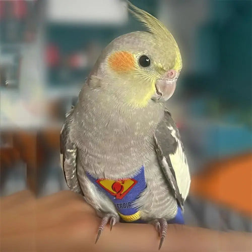 Adjustable For Parakeet Cockatiel Pigeons Pet Accessories Birds Clothes Parrot Diaper Parrot Urine Pants Birds Flight Suit