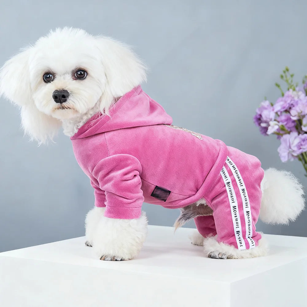 Girl Dog Clothes for Small Dogs Cute Outfits Soft Velvet Puppy Pajamas 4 Legged Jumpsuit Lightweight Pet Tracksuit Cat Apparel