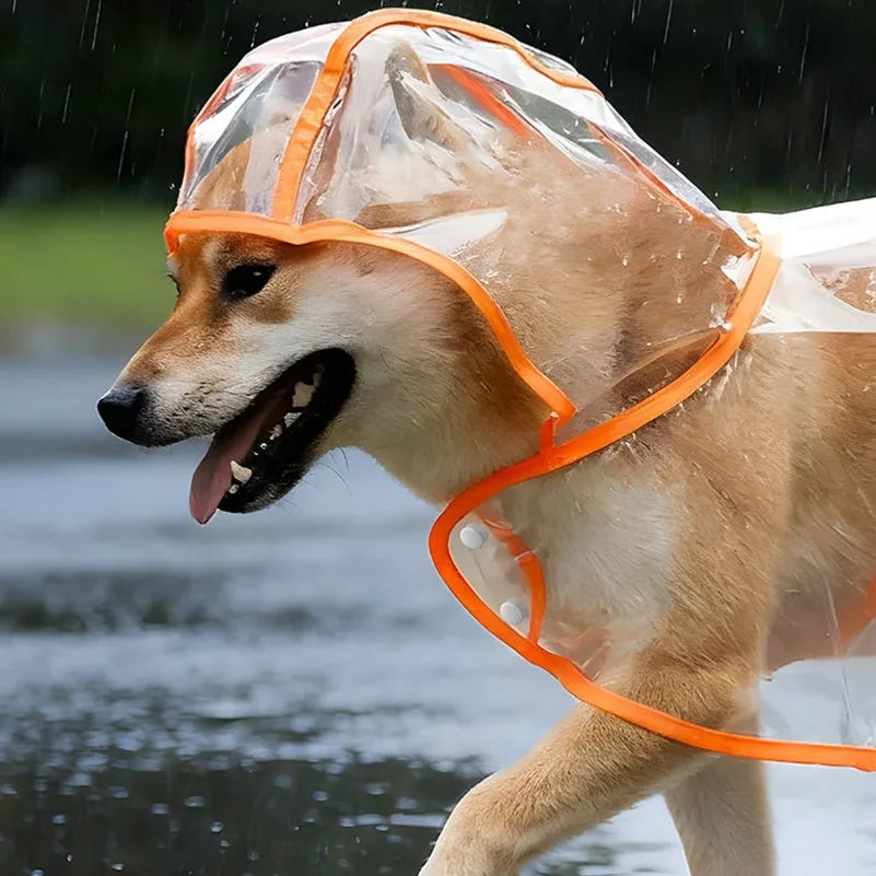 Pet Raincoat Transparent Dog Raincoat Waterproof and Windproof Pet Clothing Large Dog Pet Dog Dog Costume