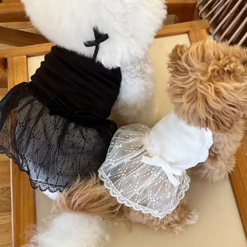 Pet Supplies Lace Pet Princess Dresses Fashion Breathable Dog Vest Soft Thin Design Pet Summer Clothes Autumn