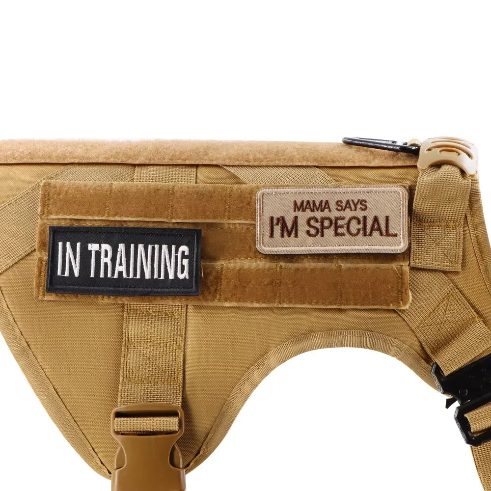 12 Pieces Tactical Patch Bundle For Dog Vest Harness Collar Personalized Patches Tags Sticker Label Custom Name ID Sticker