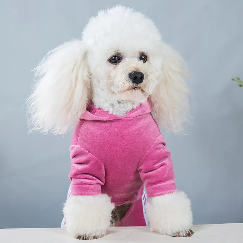 Girl Dog Clothes for Small Dogs Cute Outfits Soft Velvet Puppy Pajamas 4 Legged Jumpsuit Lightweight Pet Tracksuit Cat Apparel