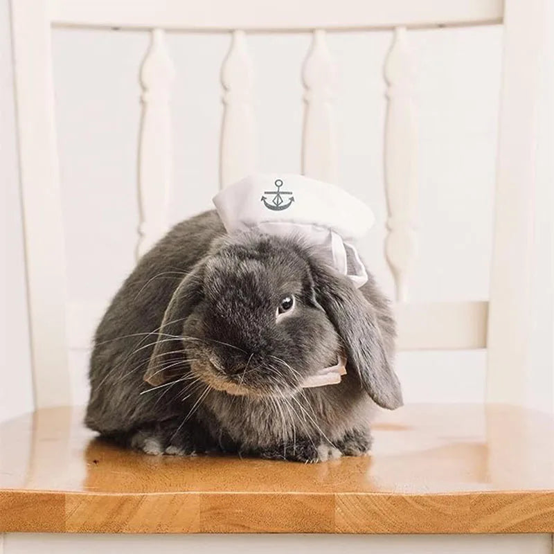 Funny Pet Cat Costumes Small Dog Rabbit Apparel Clothes For Halloween Cosplay Navy Sailor Clothes Jacket Cloak Dog Accessories