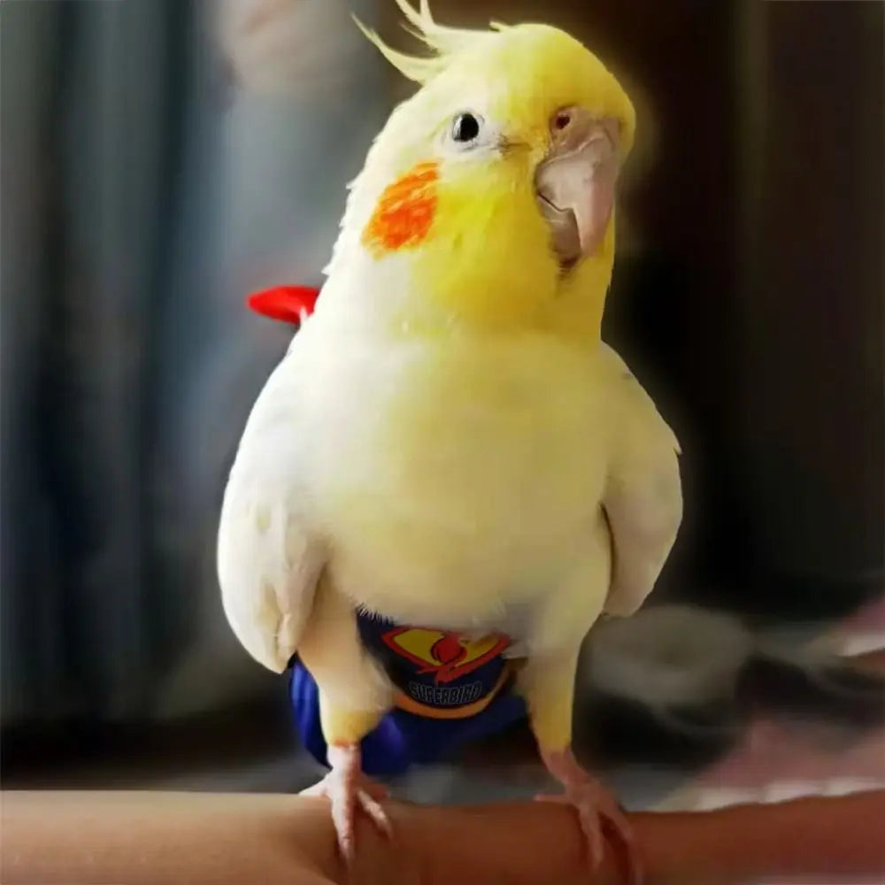 Adjustable For Parakeet Cockatiel Pigeons Pet Accessories Birds Clothes Parrot Diaper Parrot Urine Pants Birds Flight Suit