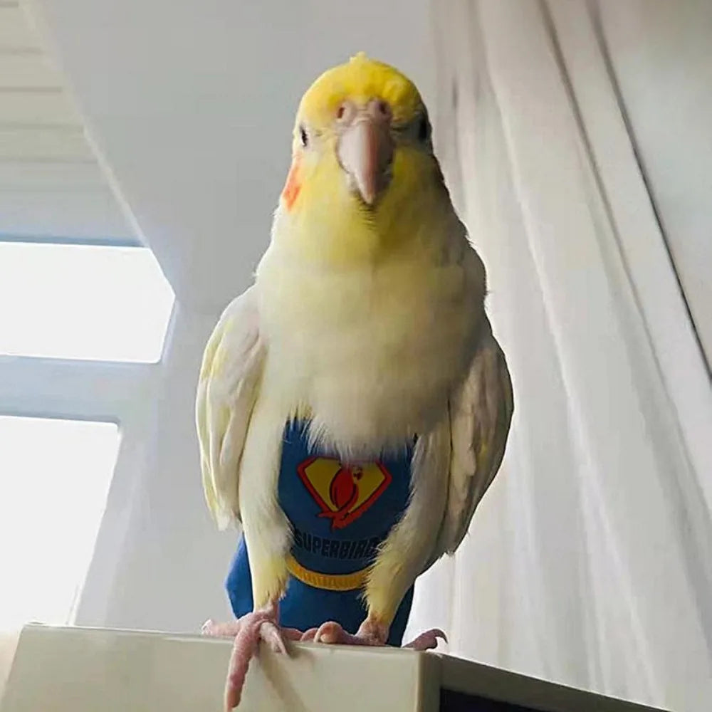 Adjustable For Parakeet Cockatiel Pigeons Pet Accessories Birds Clothes Parrot Diaper Parrot Urine Pants Birds Flight Suit