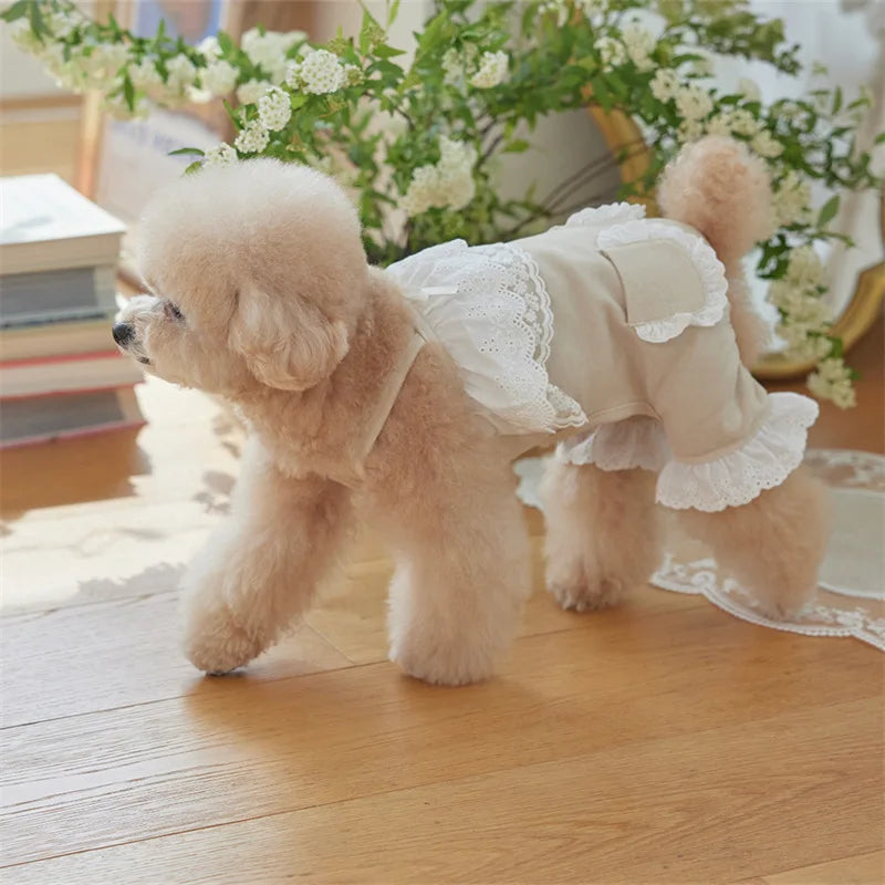 Pet Lace Jumpsuit Cute Pet Teddy Overalls Spring  Cat Pants Puppy Clothes Dog Pajamas Dog Clothes for Small Dogs