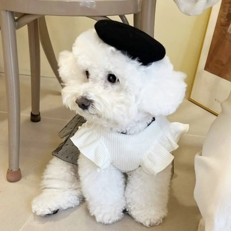 Luxury Dog Dress for Small Dogs Spring Dog Clothes Black Bow Pet Puppy Vest Cat Princess Skirt Chihuahua Bichon Pet Dog Apparel
