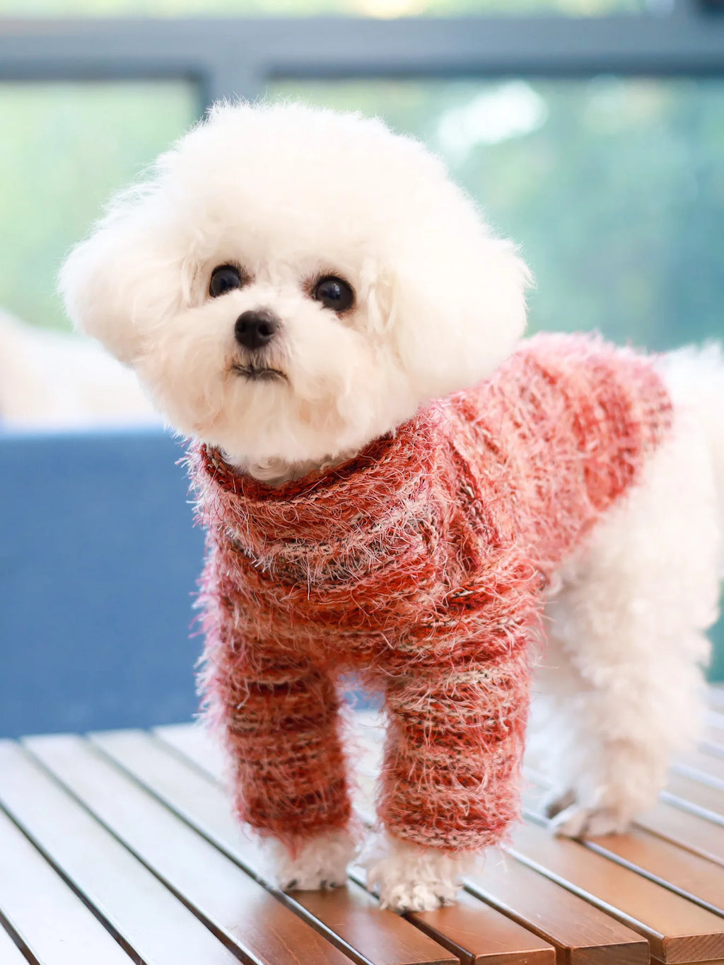 2025 New Style Pet Sweater, Simple & Fashionable, Suitable For Spring & Autumn. Dog Apparel For Yorkshire Terrier, Chihuahua