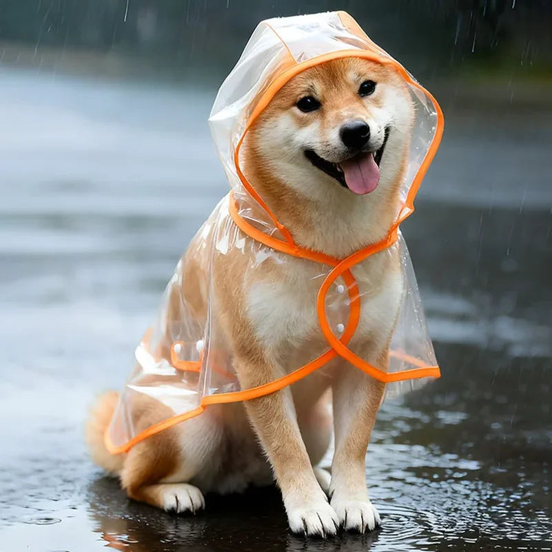 Pet Raincoat Transparent Dog Raincoat Waterproof and Windproof Pet Clothing Large Dog Pet Dog Dog Costume