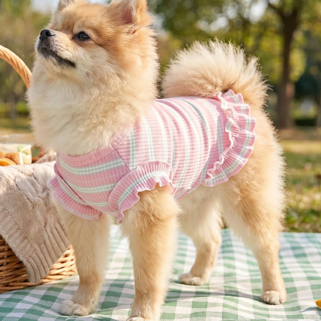 Summer Pet Clothes for Small Dogs Cute Ruffled Striped Dog Tank Top Breathable Ribbed Knit Puppy Vest Sweet Frilly Dog Apparel