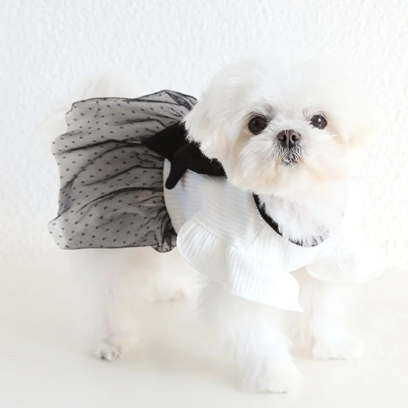 Luxury Dog Dress for Small Dogs Spring Dog Clothes Black Bow Pet Puppy Vest Cat Princess Skirt Chihuahua Bichon Pet Dog Apparel
