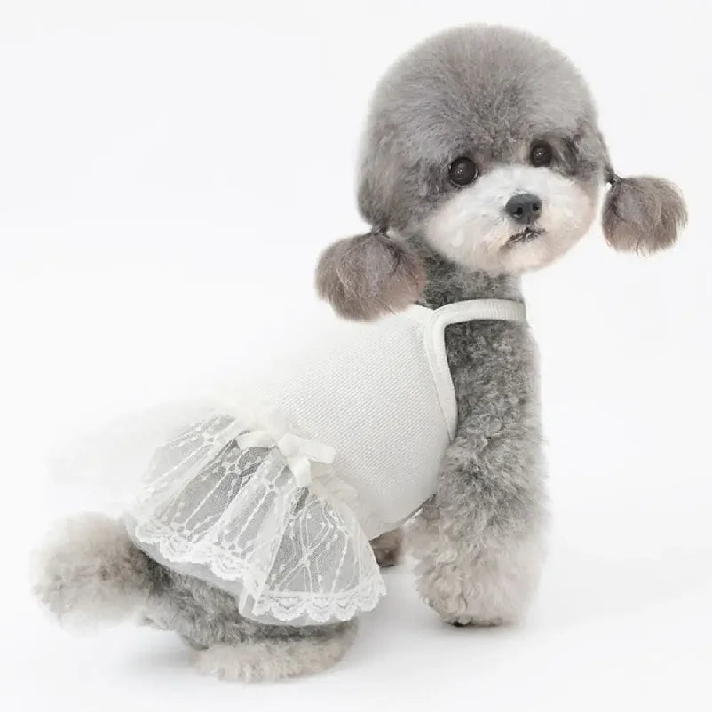 Pet Supplies Lace Pet Princess Dresses Fashion Breathable Dog Vest Soft Thin Design Pet Summer Clothes Autumn