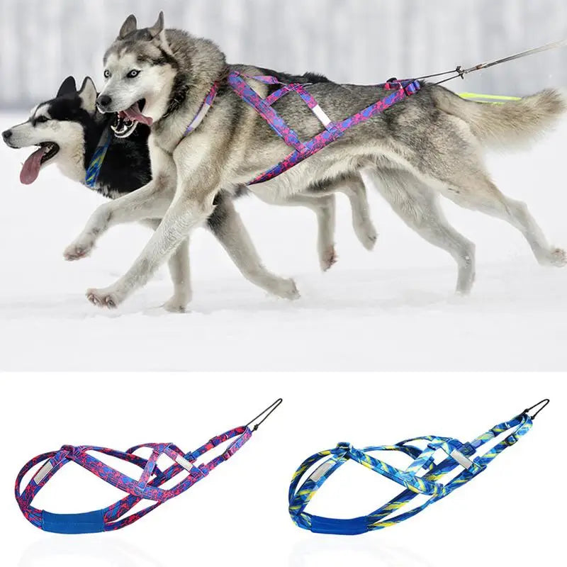 Dog Running Harness Sport Work Out Bikejoring Skijoring Speed Training Dog Pulling Harness Harness Sled Harness