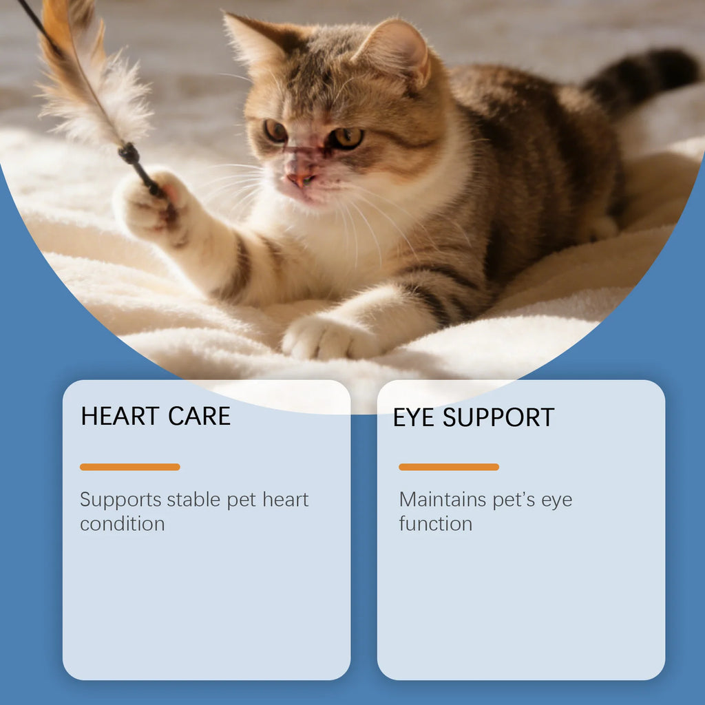 Cat Taurine Powder Pet Nutrition Supplement Support Cat Heart Health Visual Function Multivitamin Mineral Boost Body Defense