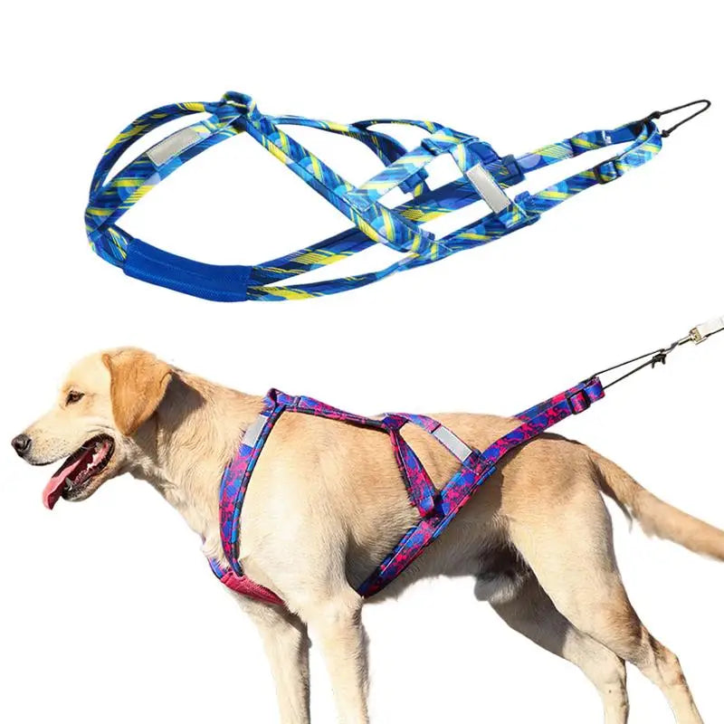Dog Running Harness Sport Work Out Bikejoring Skijoring Speed Training Dog Pulling Harness Harness Sled Harness