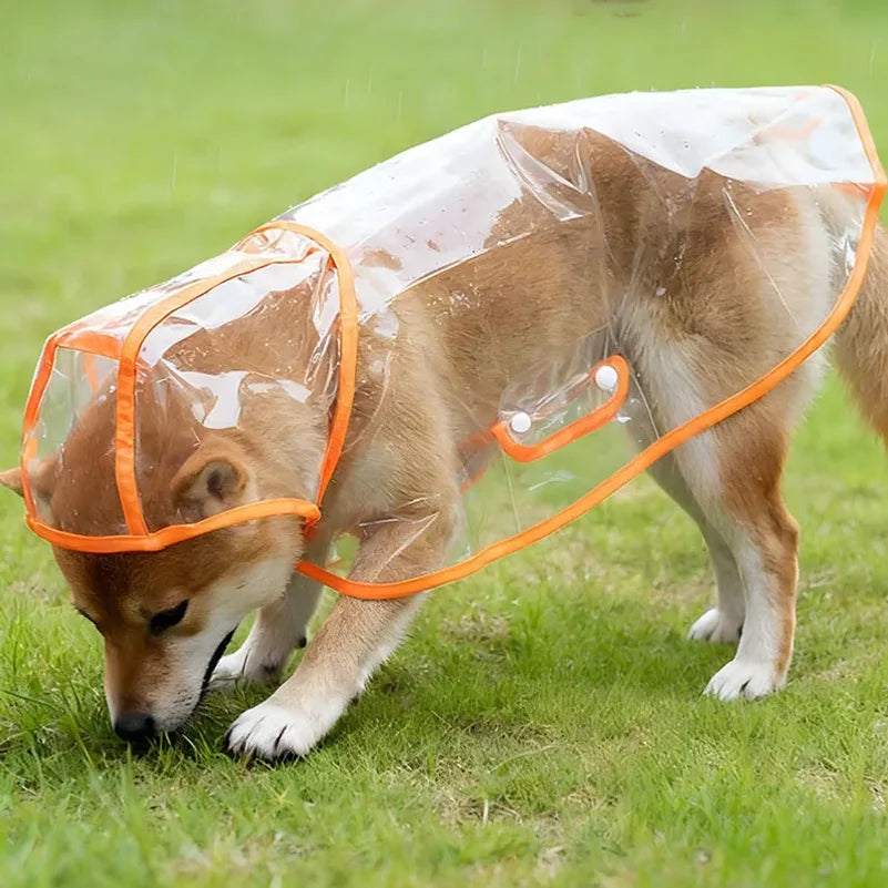 Pet Raincoat Transparent Dog Raincoat Waterproof and Windproof Pet Clothing Large Dog Pet Dog Dog Costume