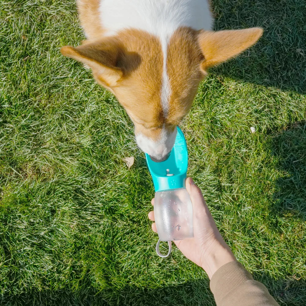 Pet Dog Water Bottle 300ML Puppy Drinking Bowls For Small Medium Dogs Cats Hiking Portable Cat Feeder Golden Retriever Supplies